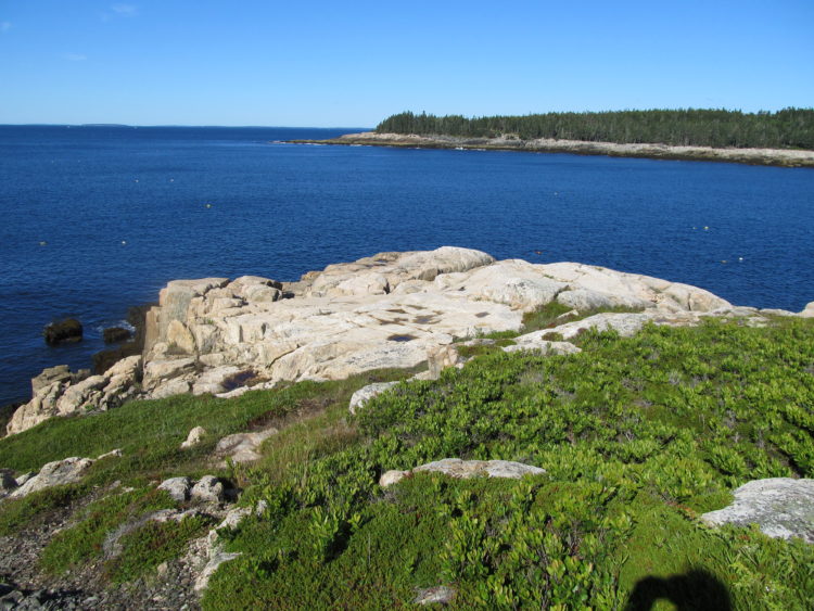 Landscape Painting Retreat in Acadia, Maine | NYAA