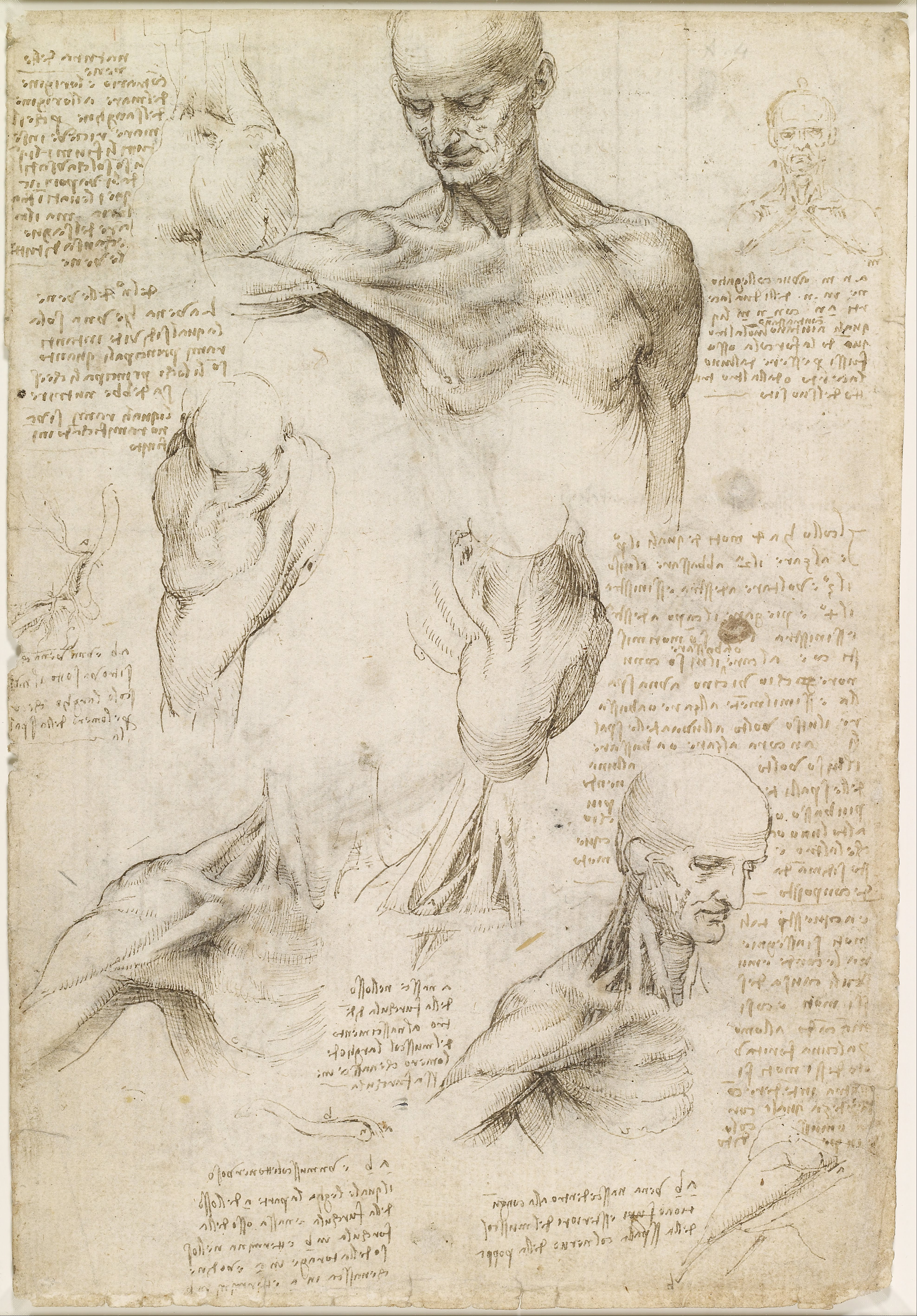Why Leonardo da Vinci’s brilliance endures, 500 years after his death