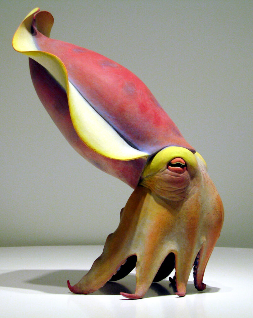 by Judy Fox