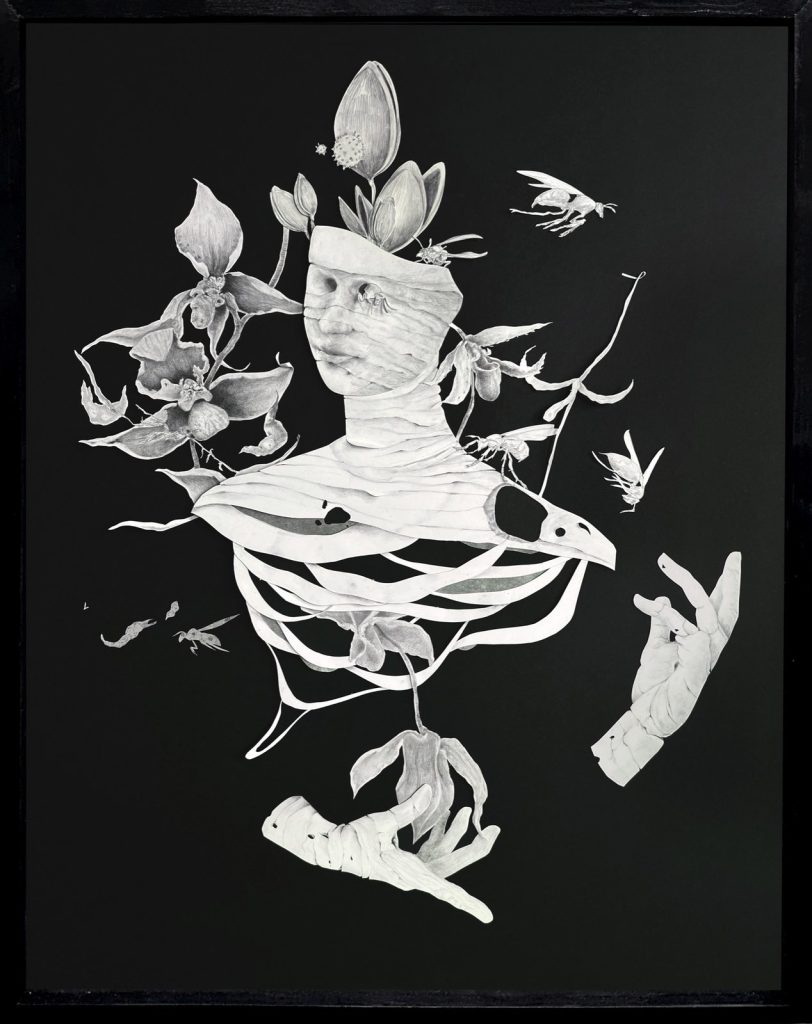 Kristin Middleton