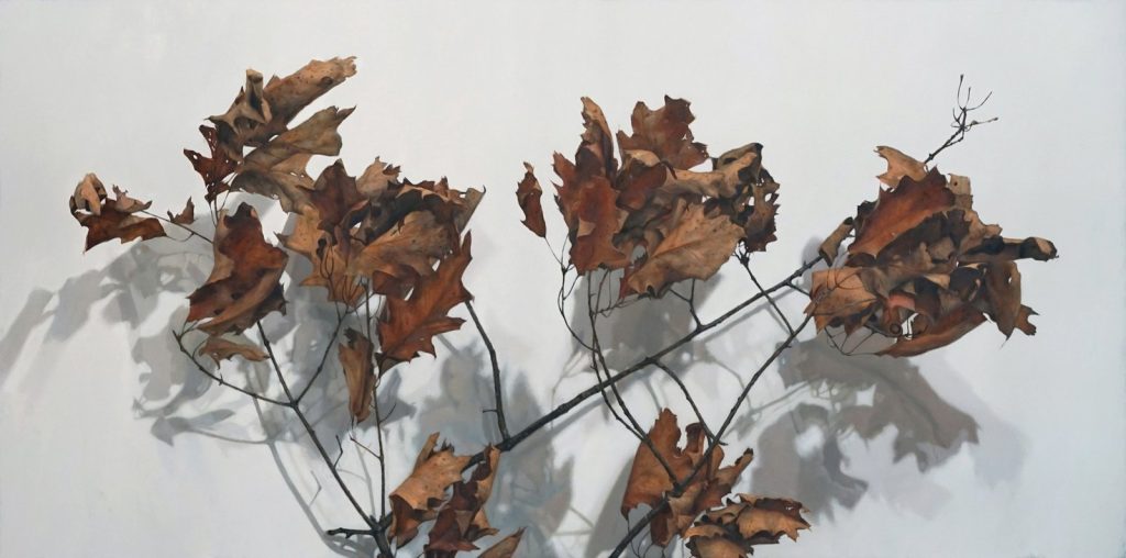 Rachel Sard