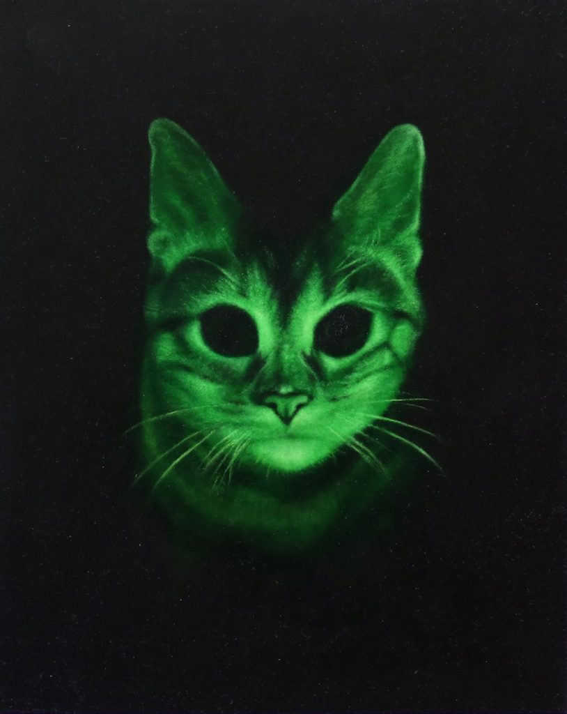 GE Cat, by Emily Davis Adams, 2020, oil on panel