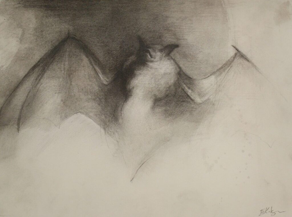 Bat, by Evan Kitson, 2012, Graphite on paper