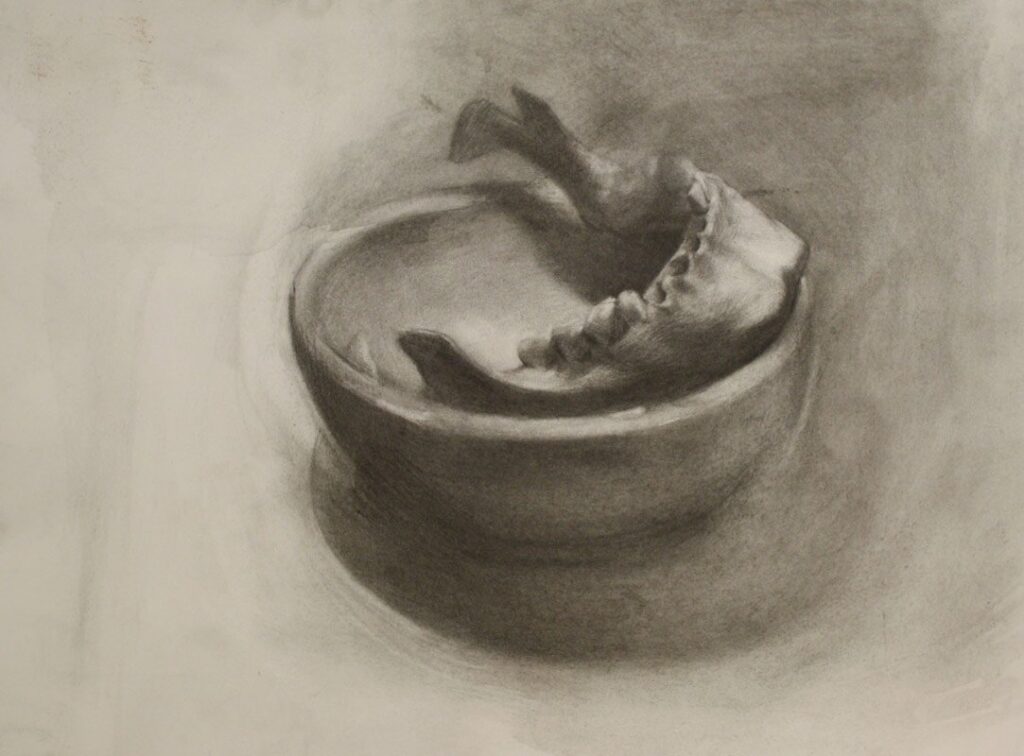 Jaw in Bowl, by Evan Kitson, 2012, Graphite on paper
