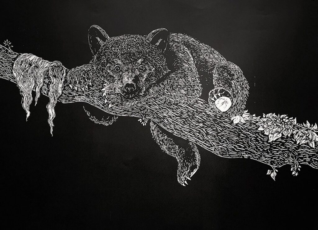 Bear, by Jordan Acosta, 2021
