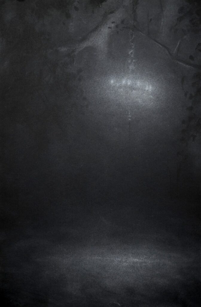 Forest with Chandelier, by James Adelman, 2019, charcoal on paper