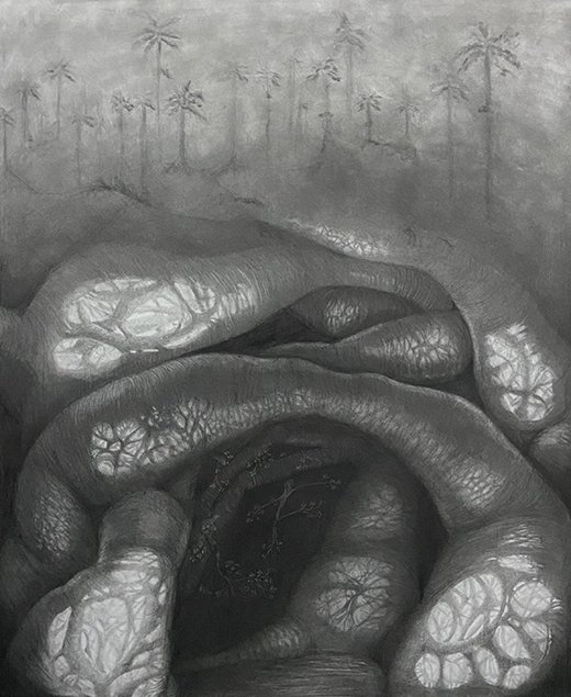 Entre Mis Raices y Mi Corazon, by Carolina Amarillo, 2023, graphite on paper