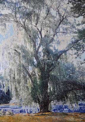 Willow, by Anthony Aziz, 2005