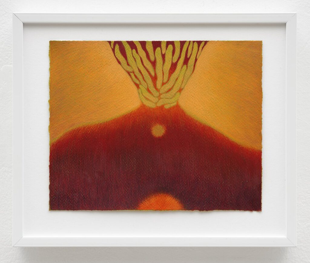 Solar Egg Yolk, by Lydia Baker, 2021, pencil on paper