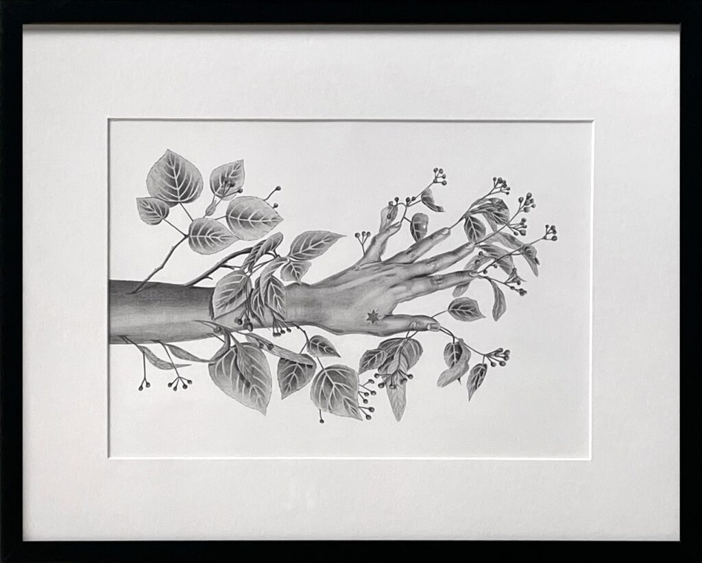 by Antônia de Oliveira Bara, 2023, wood, 2023, graphite on paper