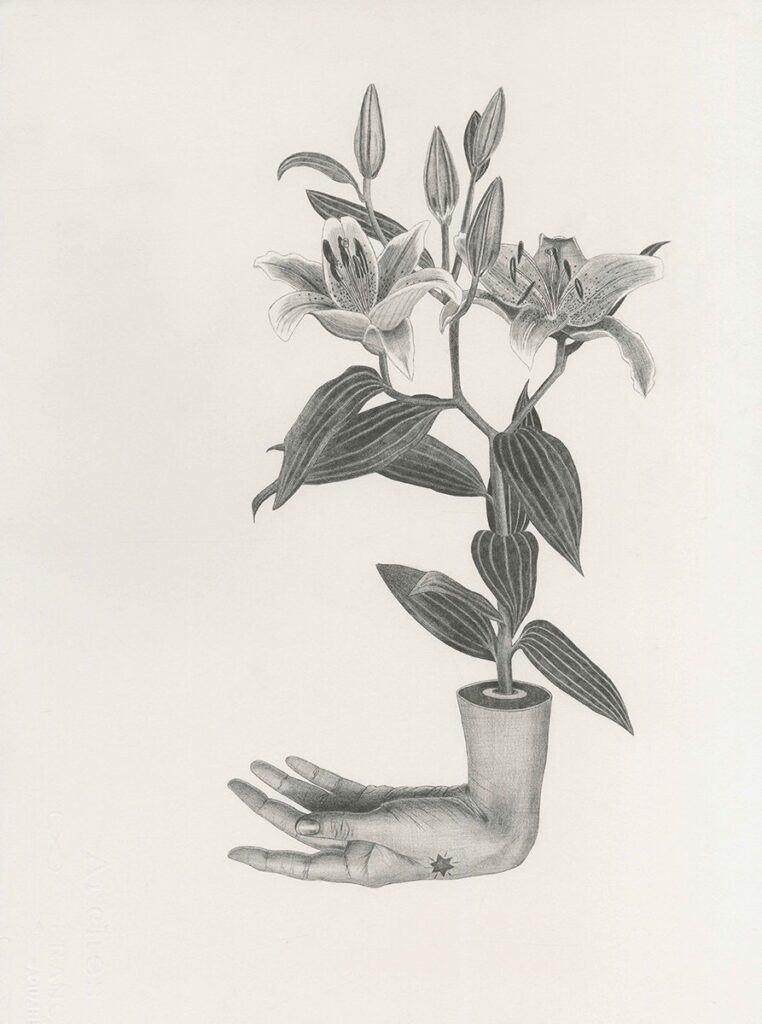 Untitled, by Antônia Bara, 2023, graphite on cotton paper