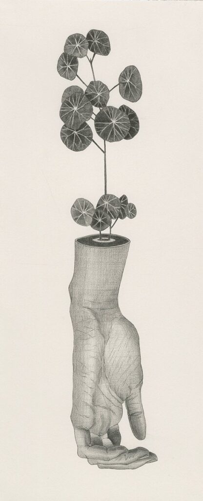 Untitled, by Antônia Bara, 2023, graphite on cotton paper