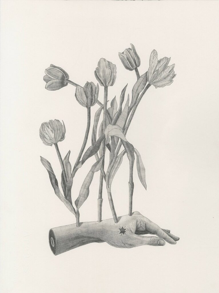 Untitled, by Antônia Bara, 2023, graphite on cotton paper