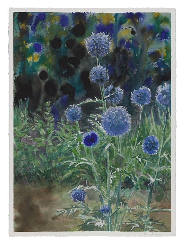 Thistles, by Ard Berge, 2019, watercolor and ink on Arches paper