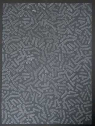 Security, by Gerard Brown, 2009
