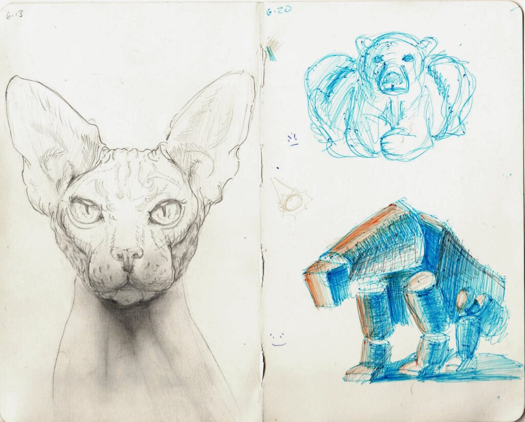 Hairless Cat Study, by Nicholas Burkhalter, 2020, graphite on paper