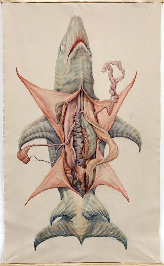Sea Specimen, by Hope Buzzelli, 2023, pencil and marker on raw canvas and wood