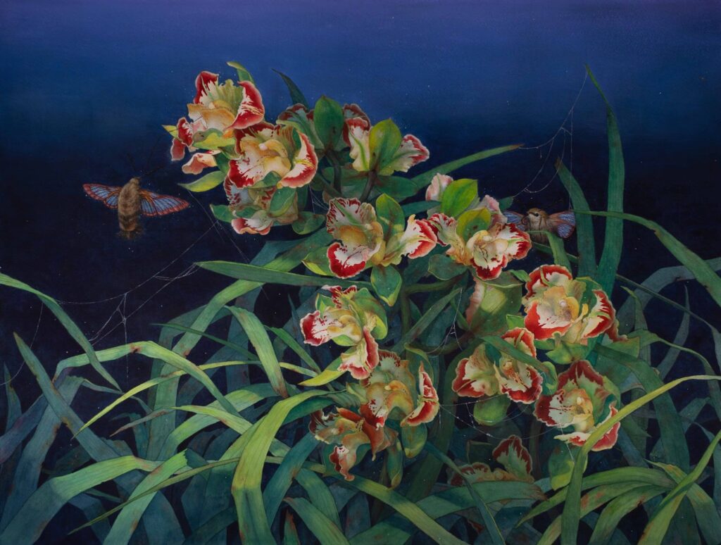 Orchid II, by Nimo Chang, 2024, watercolor on paper