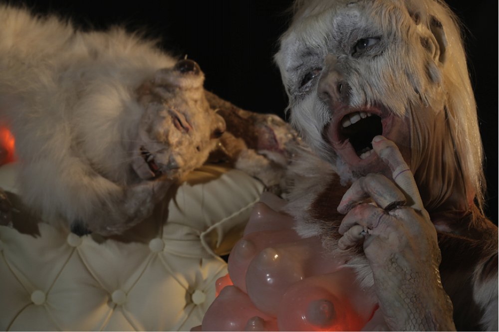 Milk Tooth, by Monica Cook, 2016