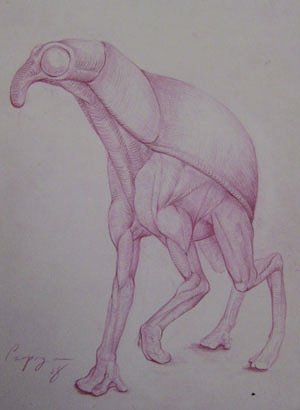 Weevilope, by David Czupryna