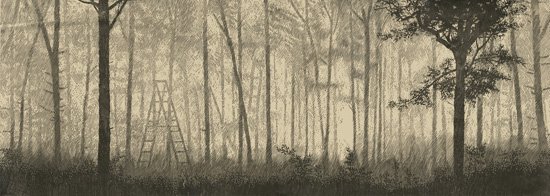 Forest, by Marcelo Daldoce, 2016