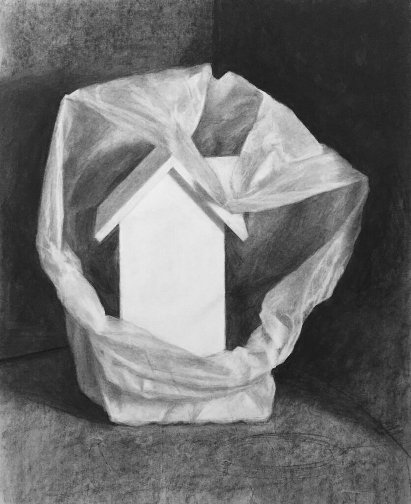 March, by Zoë Davis, 2020, charcoal and graphite on Bristol paper