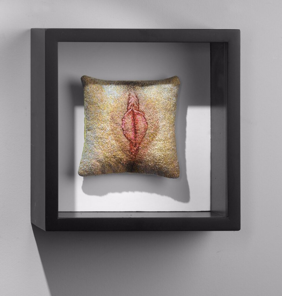 Canadian Vagina, 18cm, by Cara DeAngelis, 2016