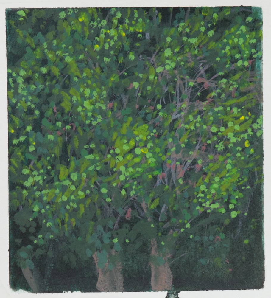 Giverny Study #1, by Matthew Durante, 2016, Watercolor and white gouache on paper