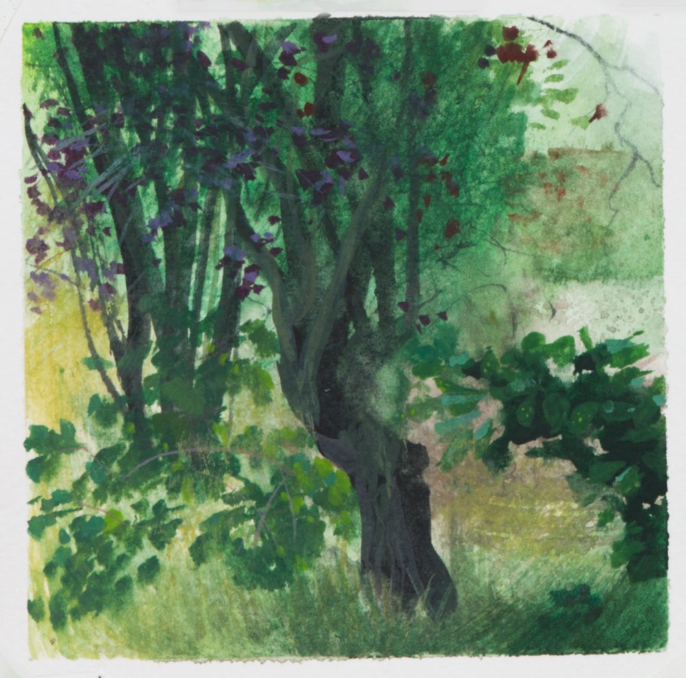 Giverny Study #3, by Matthew Durante, 2016, Watercolor and white gouache on paper