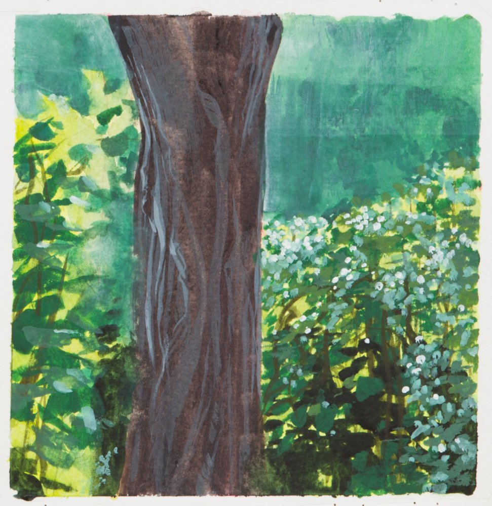 Giverny Study #4, by Matthew Durante, 2016, Watercolor and white gouache on paper