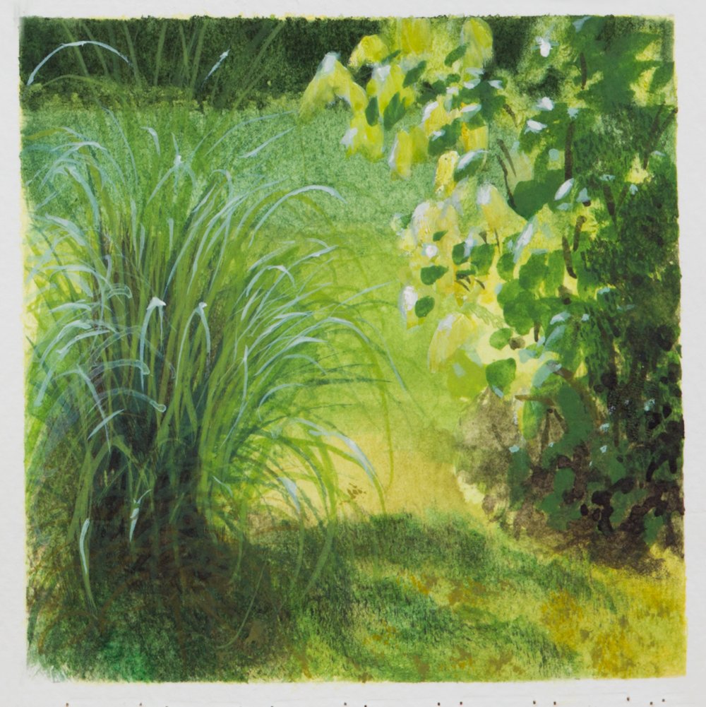 Giverny Study #5, by Matthew Durante, 2016, Watercolor and white gouache on paper