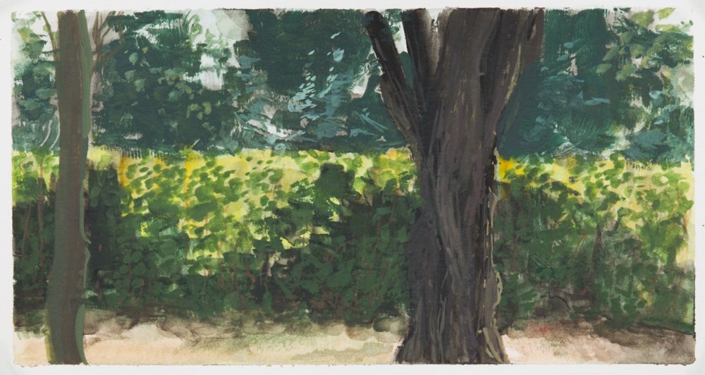 Giverny Study #6, by Matthew Durante, 2016, Watercolor and white gouache on paper