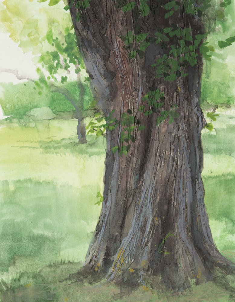 Giverny Study #10, by Matthew Durante, 2016, Watercolor and white gouache on paper