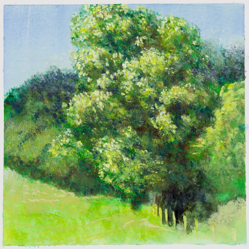 Giverny Study #16, by Matthew Durante, 2016, Watercolor and white gouache on paper