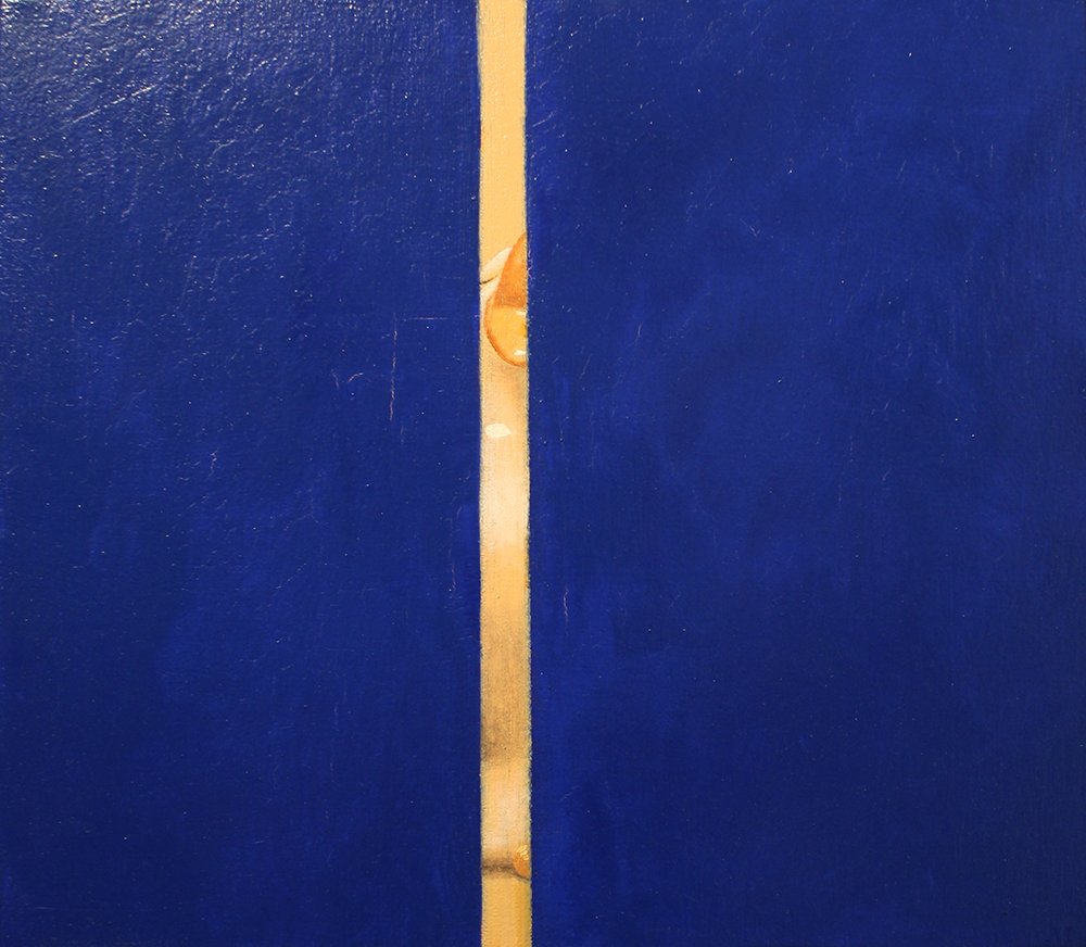 Vir Heroicus Anas Fulvigula Sublimis, by Martha Erlebacher, 2005, Oil on canvas