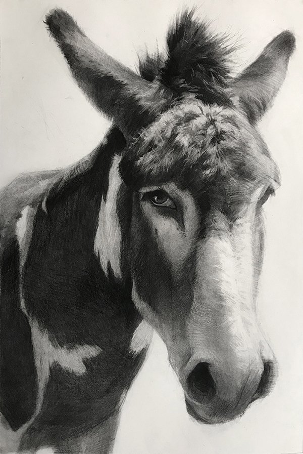Farley, by Christian Fagerlund, 2019, graphite and charcoal on paper
