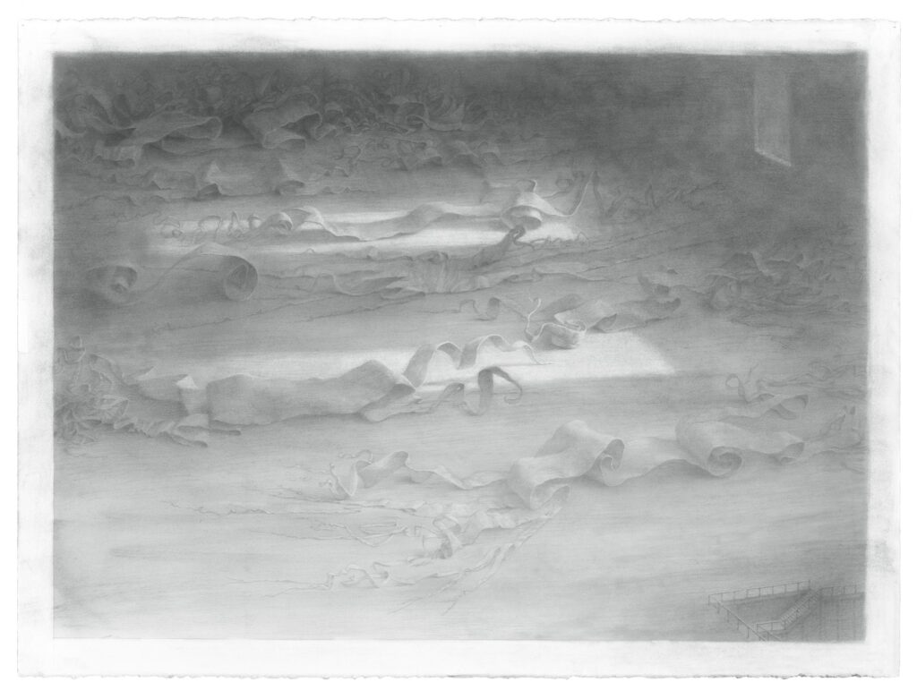 Archive, by Michèle Fenniak, 2018, graphite on paper