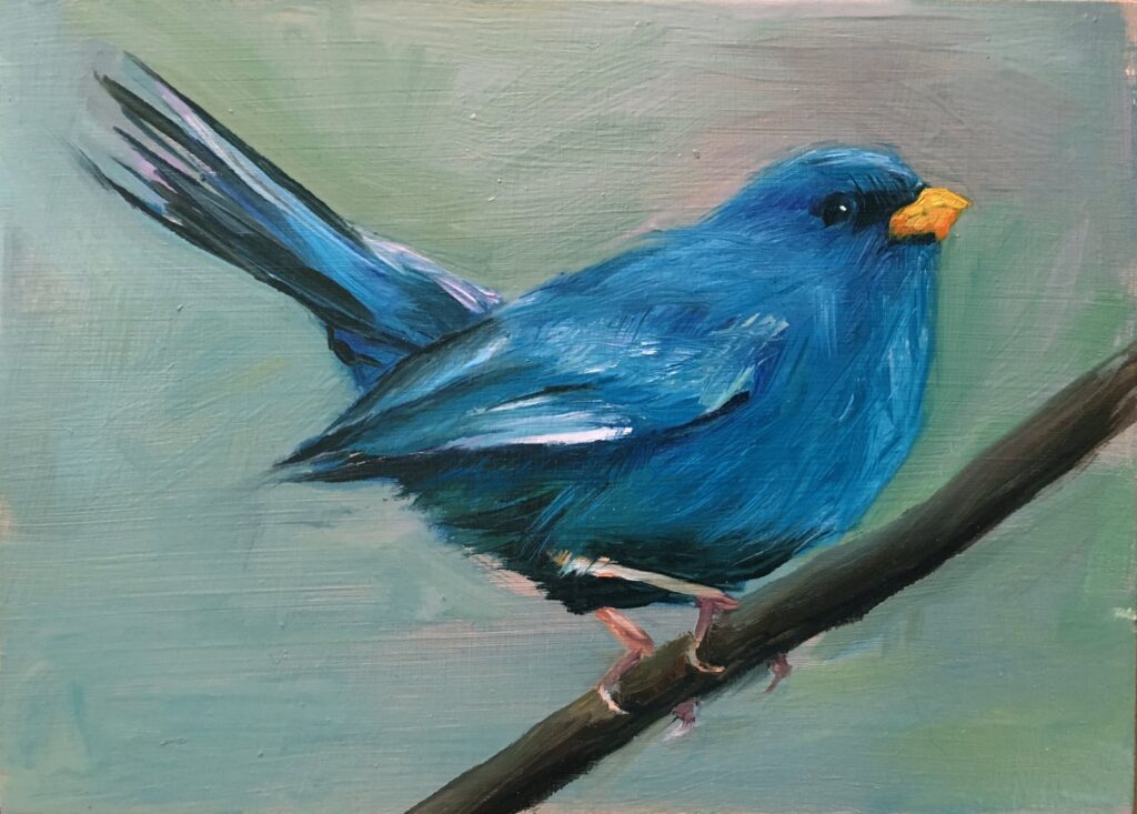 Blue Finch, by Shauna Finn, 2015, Oil on masonite