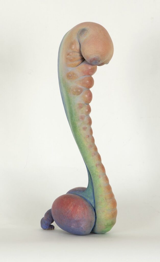 EdenPlant 22, by Judy Fox, 2009-2020
