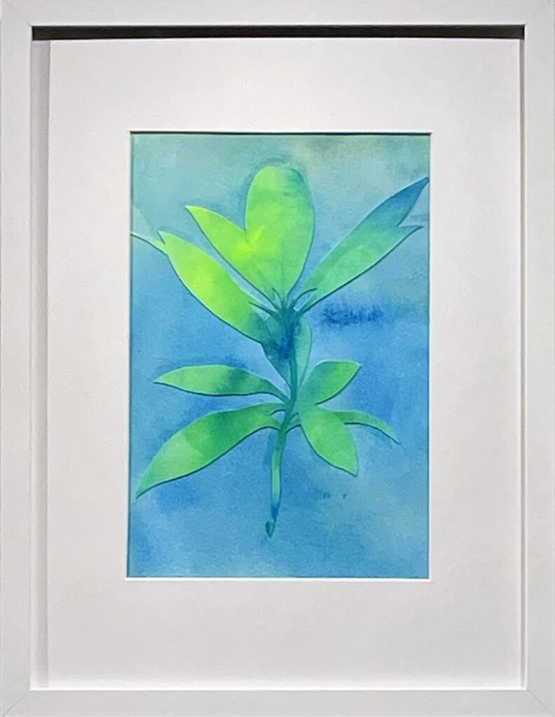 Fern 1, by Santiago Galeas, 2023, acrylic on watercolor paper