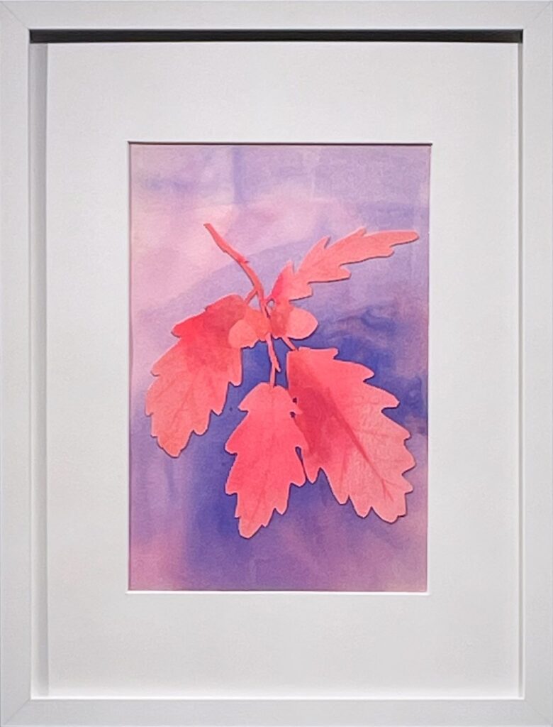Oak Branch, by Santiago Galeas, 2023, acrylic on watercolor paper