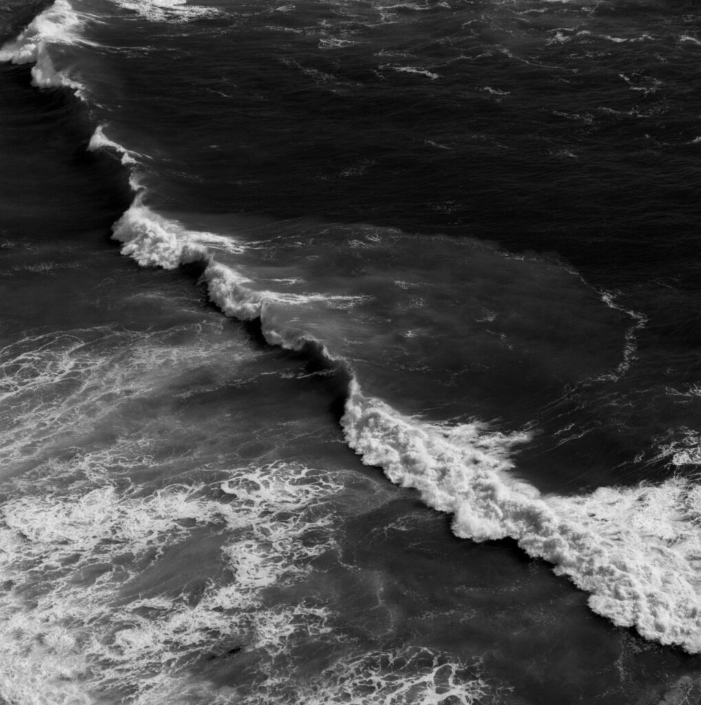 whitewash, by Sally Gall, 2011, silver gelatin photograph