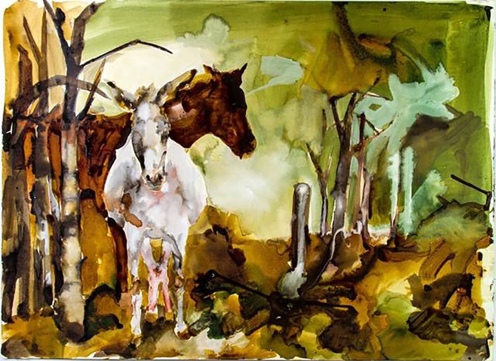 Donkey and Pony, by Elizabeth Glaessner, 2013, ink on paper