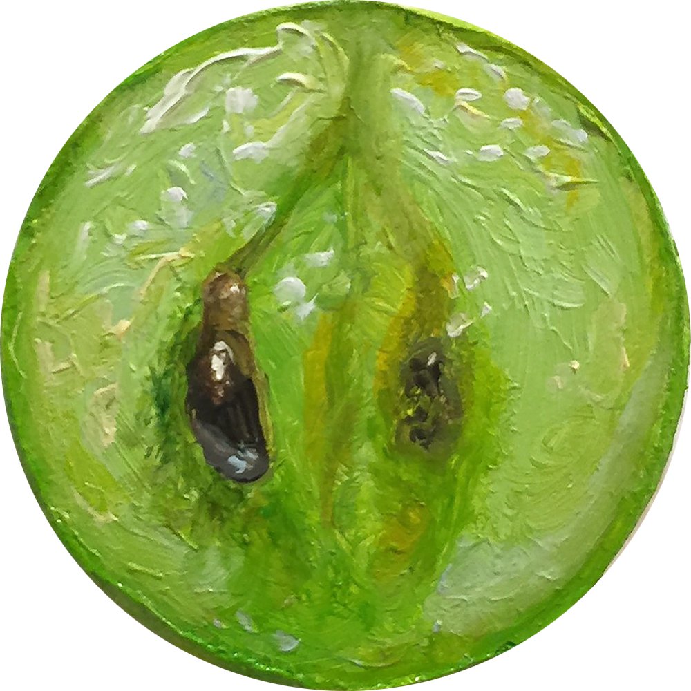 by Alonsa Guevara, 2015, Oil on canvas, 1.5 inches diameter