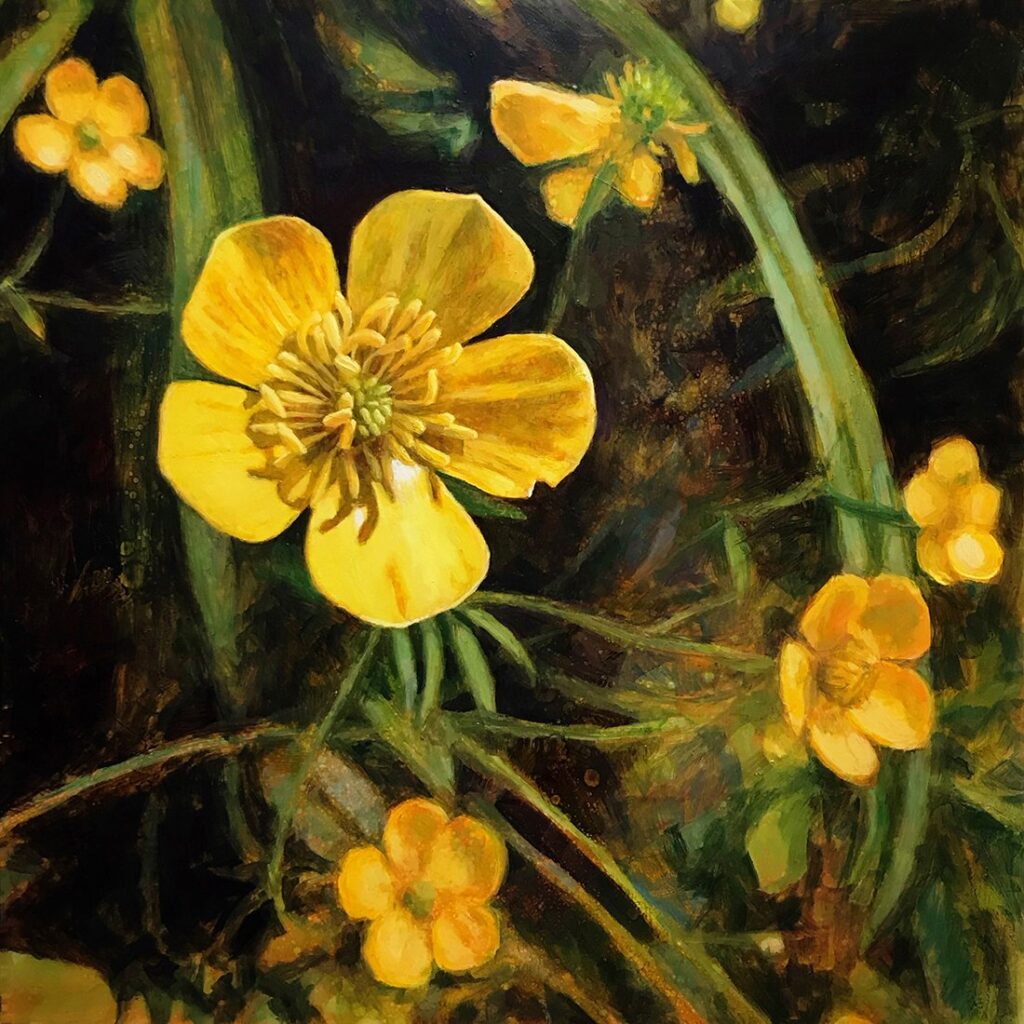 Buttercup, by Elody Gyekis, 2019, oil on panel