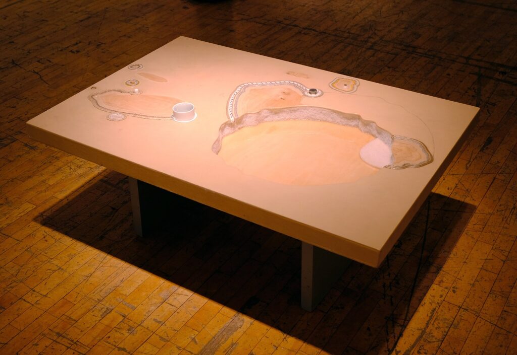 The Tamaki Estuary, by Lucy Han, 2018, wood, paint, and resin