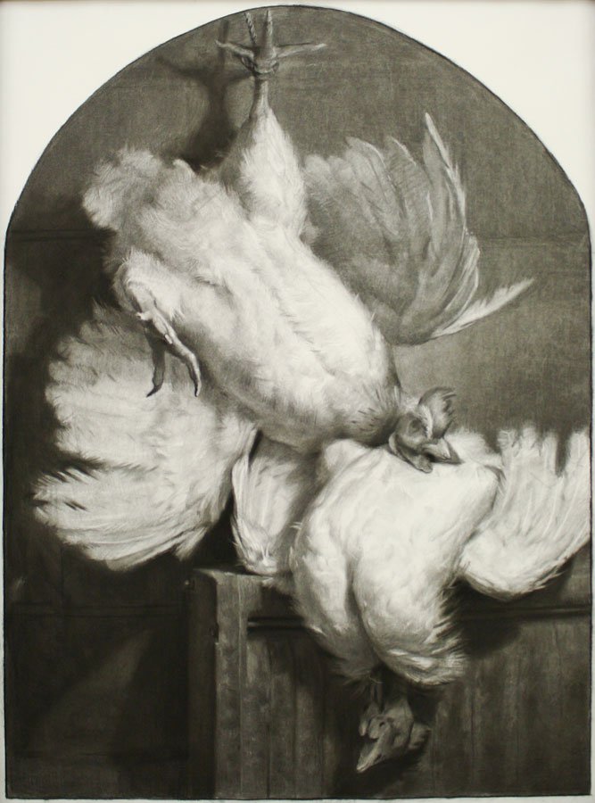 Roosters, by Ian Healy, 2011, Charcoal on paper