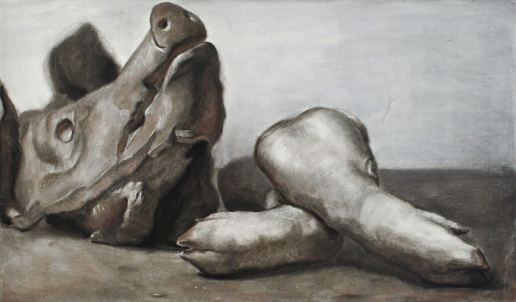 Pig, by Ian Healy, 2012, Charcoal on paper