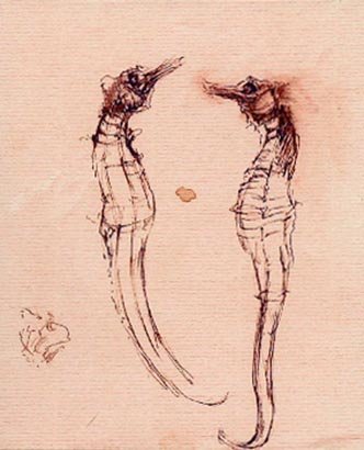 by Elizabeth Hutchinson