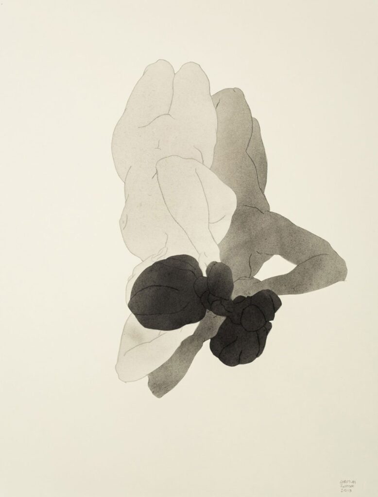 Untitled, by Christian Johnson, 2013, Charcoal and graphite on paper